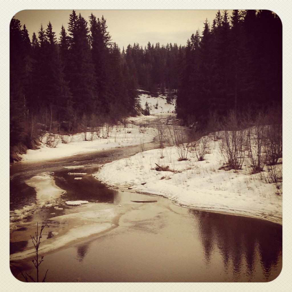 edmonton Whitemud Crossing ravine