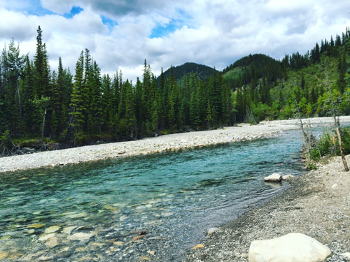 Elbow river