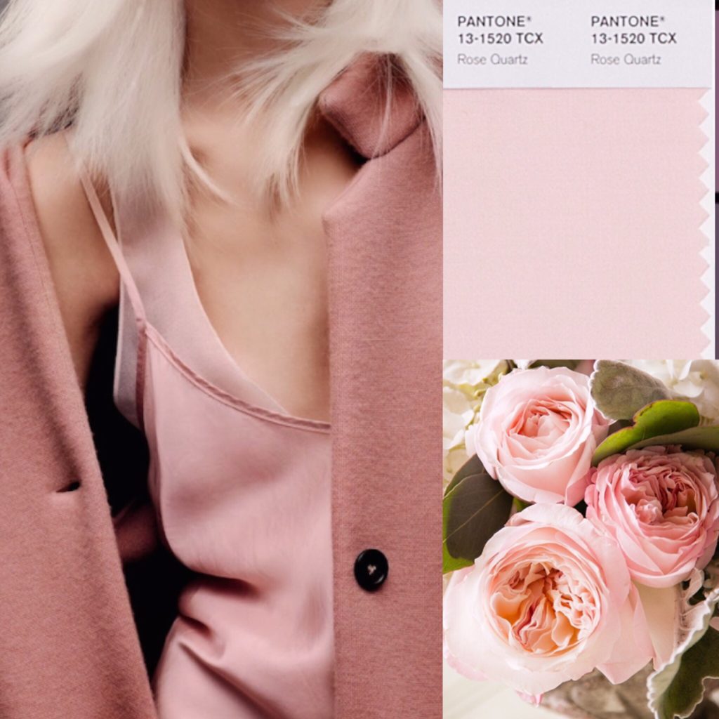 R O S E Q U A R T Z (aka blush pink)