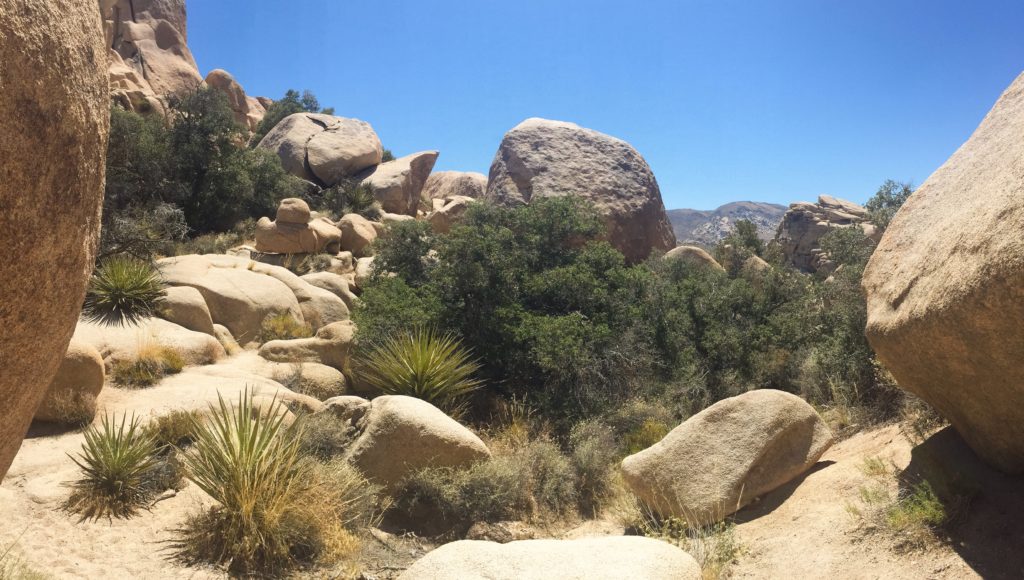 boulders in the sun