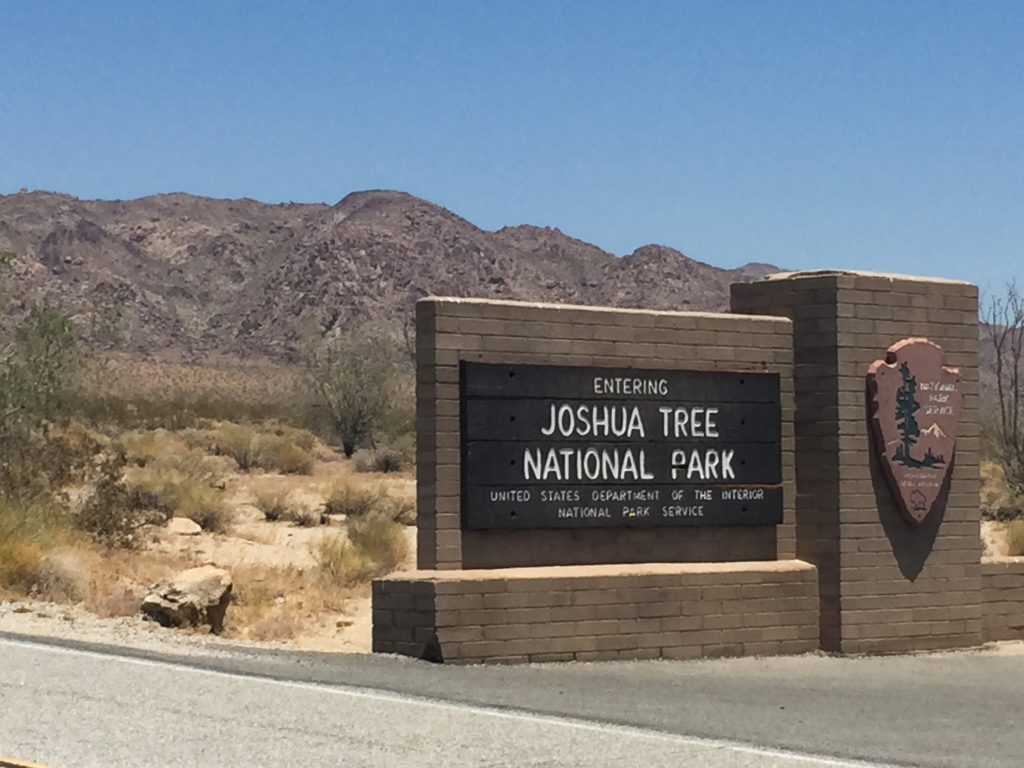 Joshua Tree -- south entrance