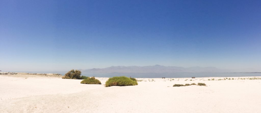 the Salton Sea