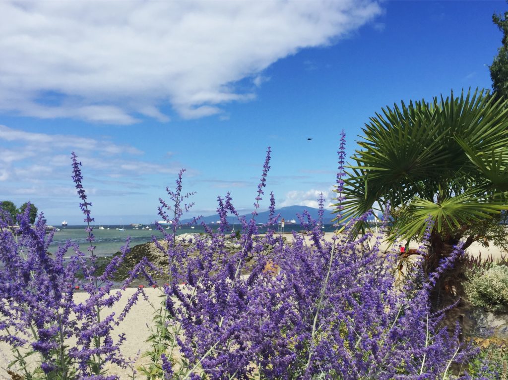 English Bay, Vancouver