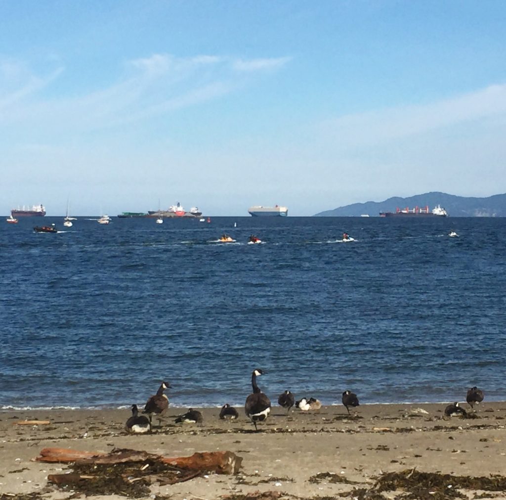 birds watching ships, being watched