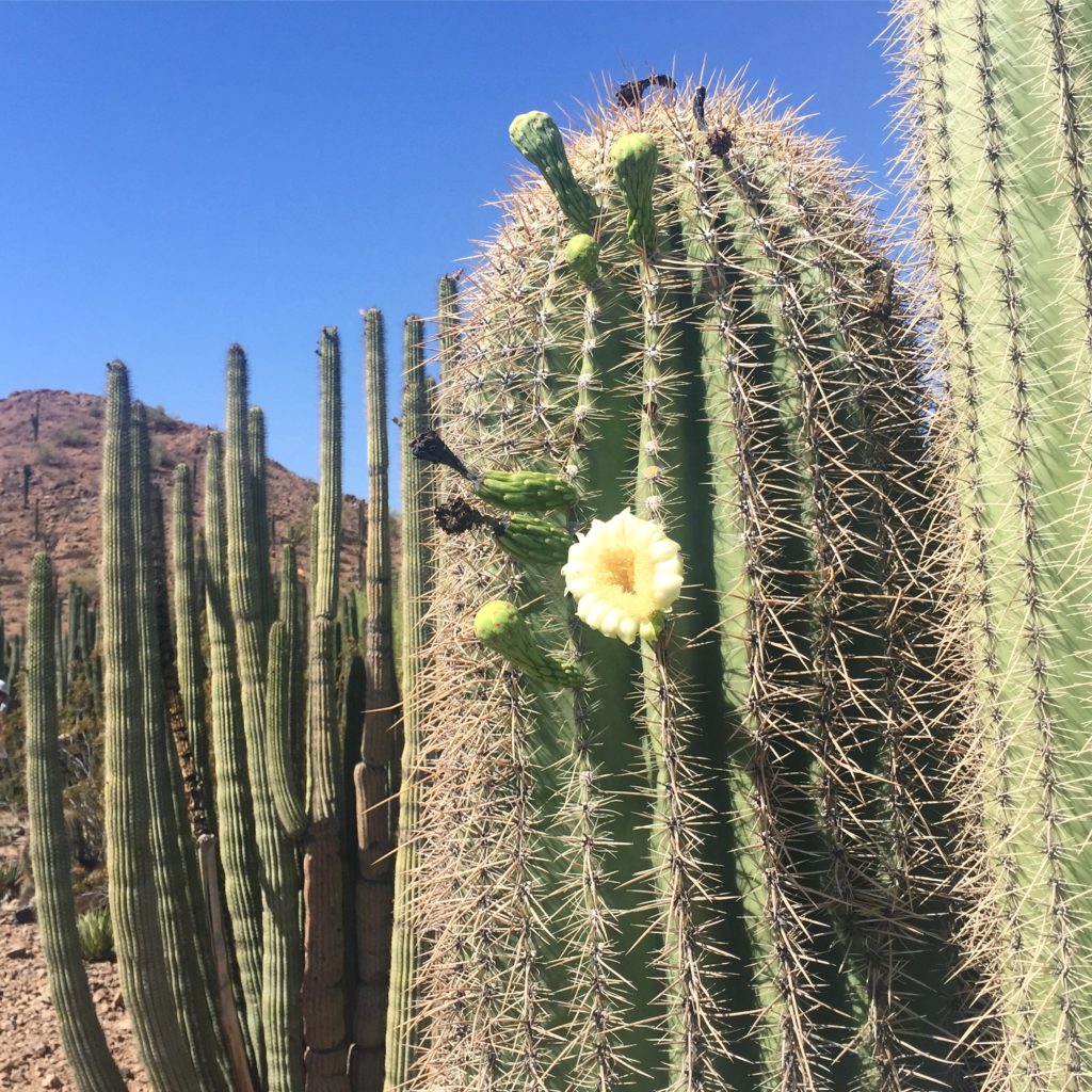 820E8D56-059A-49B7-8AB3-<img loading=